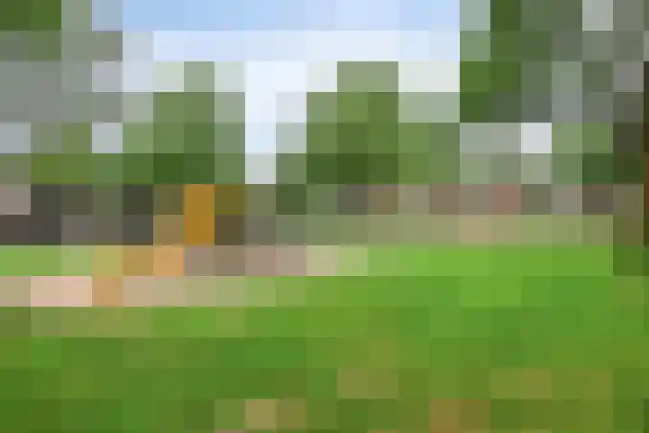 Middelveld 7 Zeeland thumbnail 32
