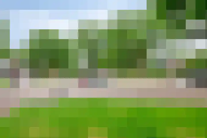 Middelveld 7 Zeeland thumbnail 33