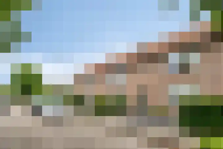 Middelveld 7 Zeeland thumbnail 36