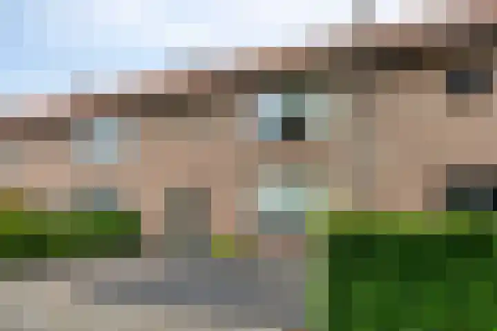 Middelveld 7 Zeeland thumbnail 5
