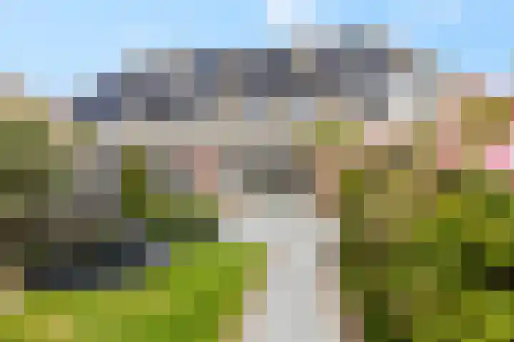 Middelwijk 3 Rhenen thumbnail 29