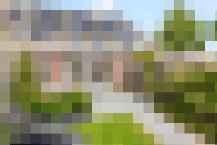Middelwijk 3 Rhenen thumbnail 30