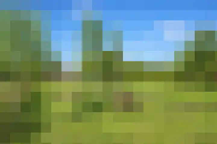 Midden 129 Wapserveen thumbnail 4