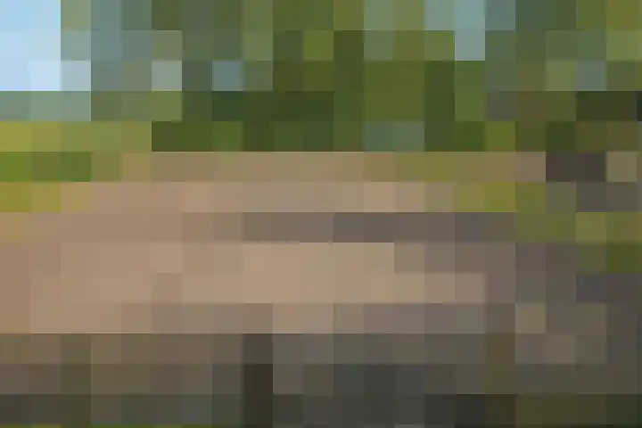 Midden 129 Wapserveen thumbnail 6