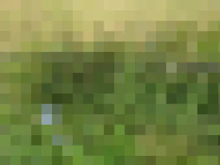 Midden 129 Wapserveen thumbnail 77