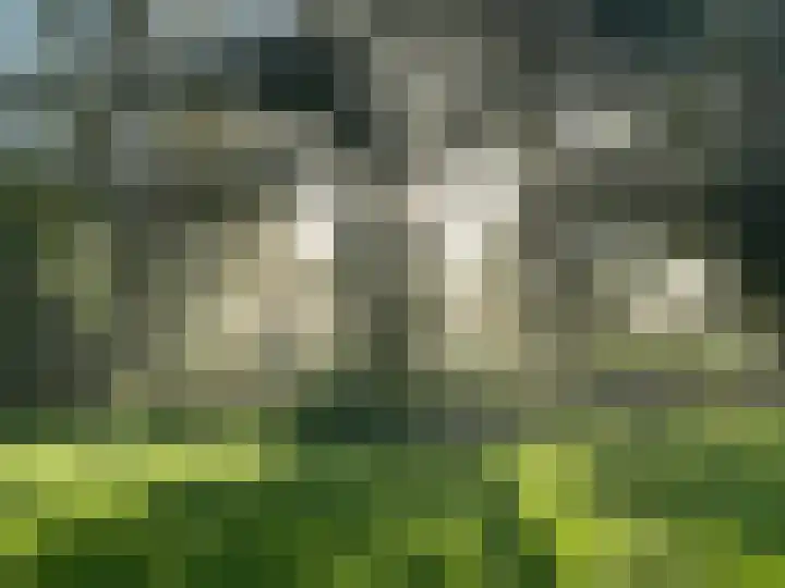 Midden 129 Wapserveen thumbnail 90