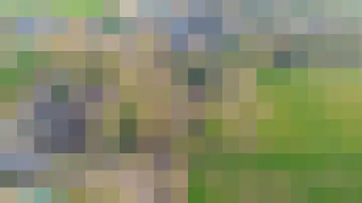 Midden 139 Wapserveen thumbnail 47