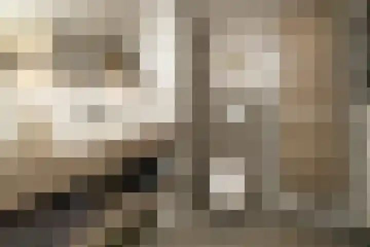 Midden Woerd 49 Naaldwijk thumbnail 19