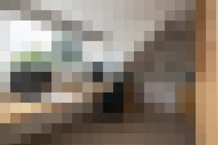 Midden Woerd 49 Naaldwijk thumbnail 26