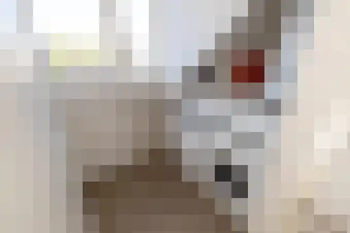 Midden Woerd 49 Naaldwijk thumbnail 30