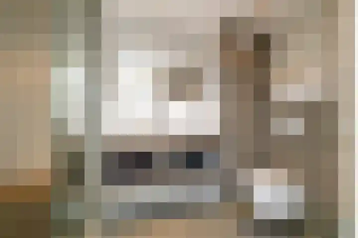 Midden Woerd 49 Naaldwijk thumbnail 4
