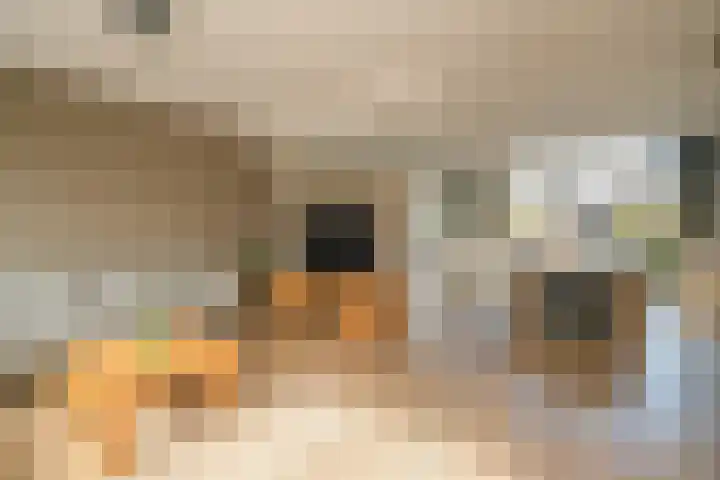 Midden Woerd 49 Naaldwijk thumbnail 8