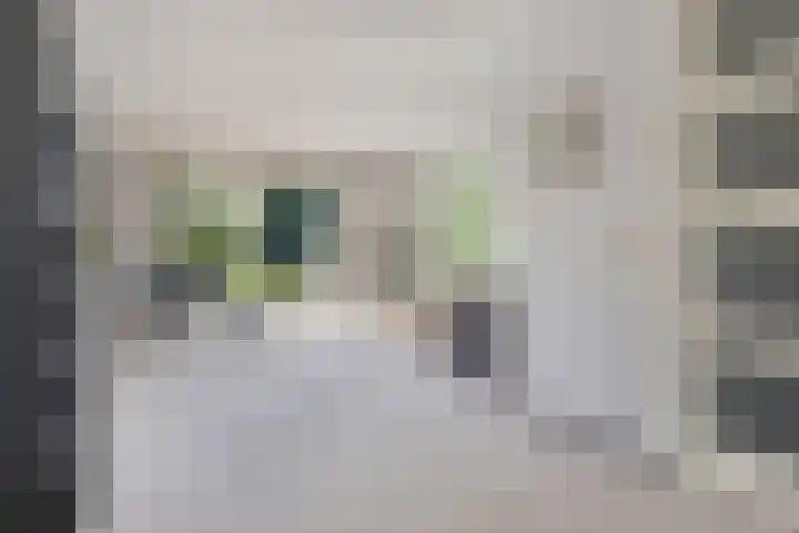 Middenbolder 7 Stadskanaal thumbnail 12