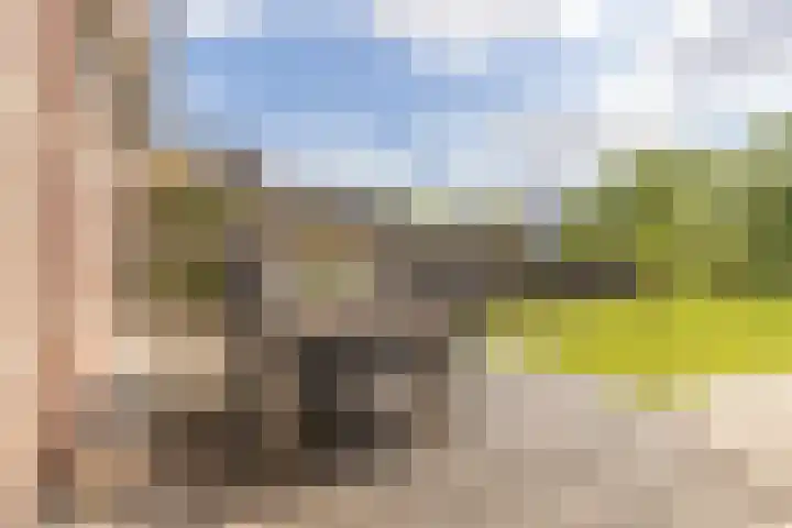 Middenbolder 7 Stadskanaal thumbnail 38