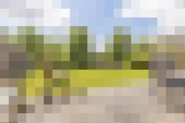 Middenbolder 7 Stadskanaal thumbnail 39
