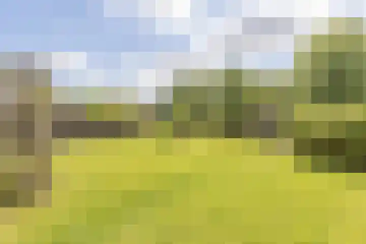 Middenbolder 7 Stadskanaal thumbnail 41