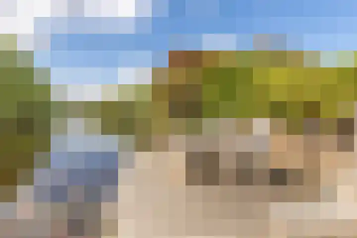Middenbolder 7 Stadskanaal thumbnail 43