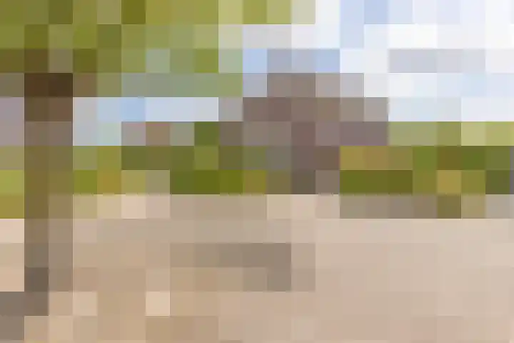 Middenbolder 7 Stadskanaal thumbnail 6