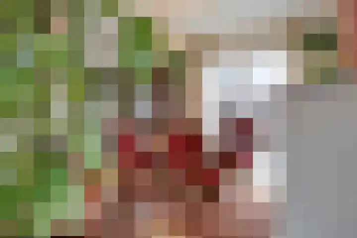 Middendorpstraat 32 Tilburg thumbnail 20
