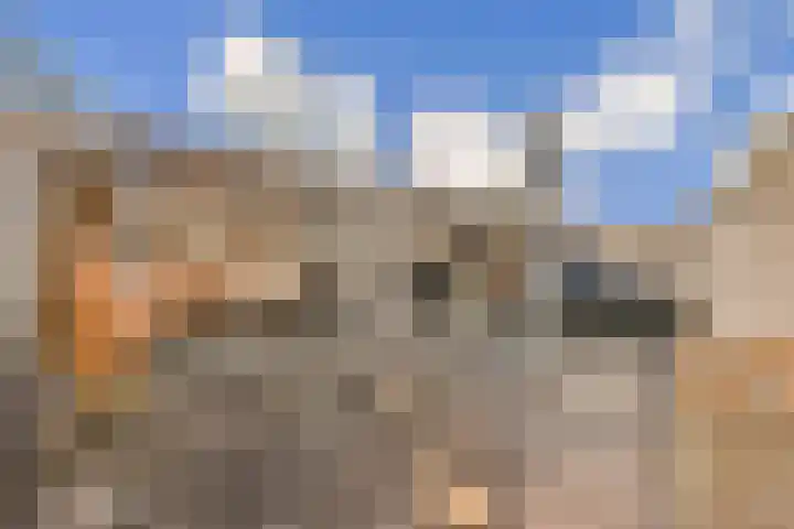 Middenerf 19 Abbekerk thumbnail 12