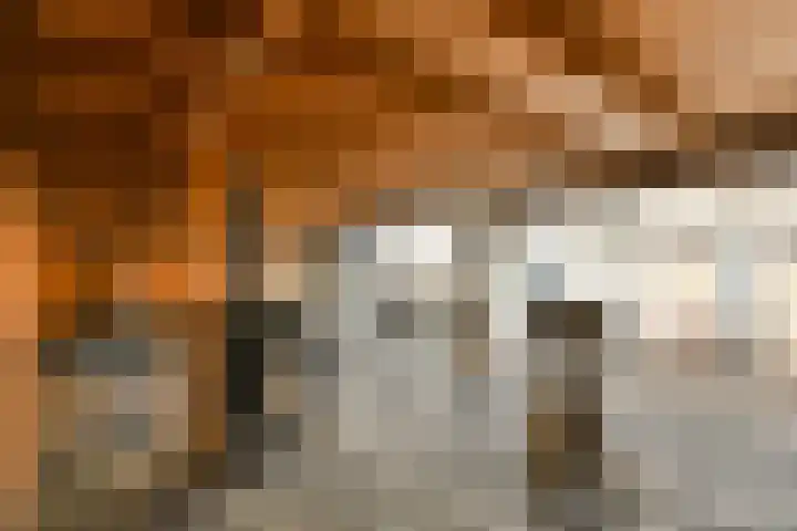 Middenerf 19 Abbekerk thumbnail 15