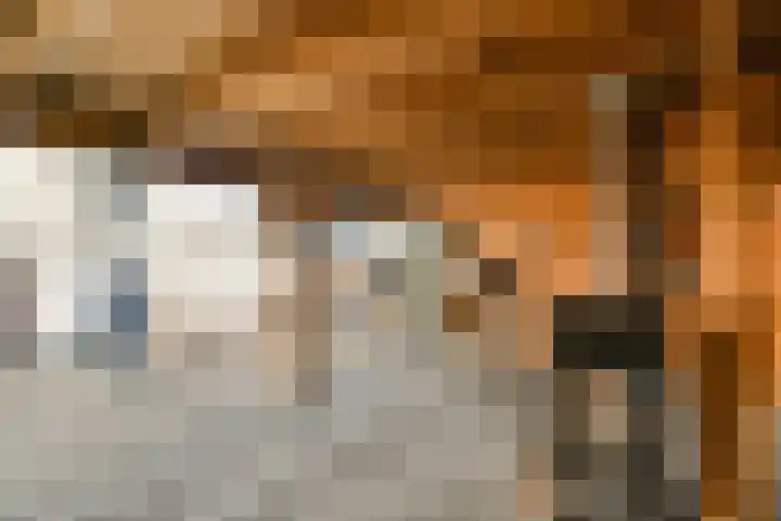 Middenerf 19 Abbekerk thumbnail 16