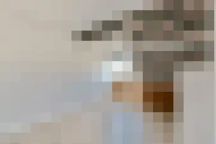 Middenerf 19 Abbekerk thumbnail 17