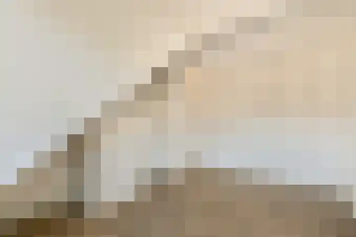 Middenerf 19 Abbekerk thumbnail 18