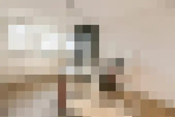 Middenerf 19 Abbekerk thumbnail 19