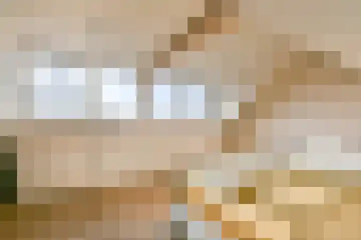 Middenerf 19 Abbekerk thumbnail 22