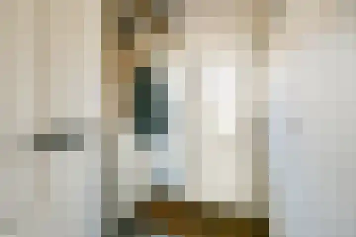 Middenerf 19 Abbekerk thumbnail 4