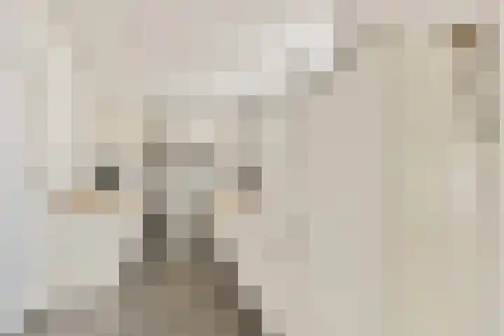 Middenerf 19 Abbekerk thumbnail 9