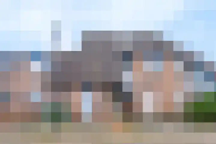 Middenerf 2 in Breda