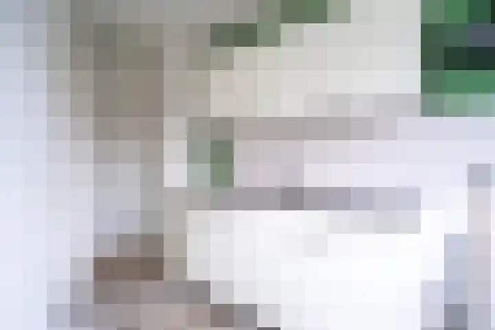 Middenerf 2 Breda thumbnail 11
