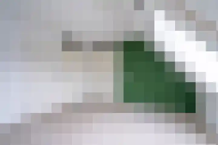 Middenerf 2 Breda thumbnail 15