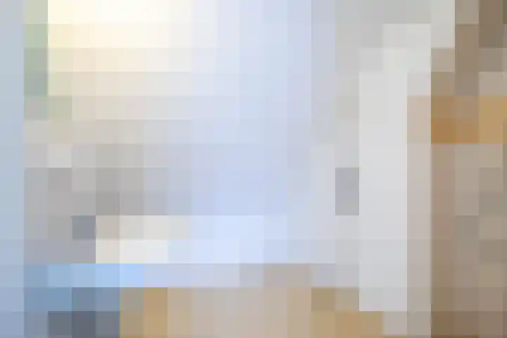 Middenerf 2 Breda thumbnail 19