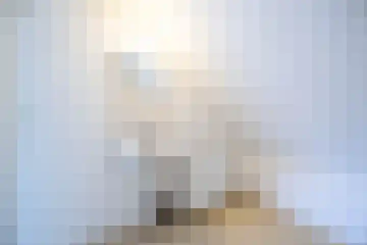 Middenerf 2 Breda thumbnail 20