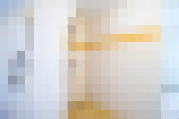 Middenerf 2 Breda thumbnail 21