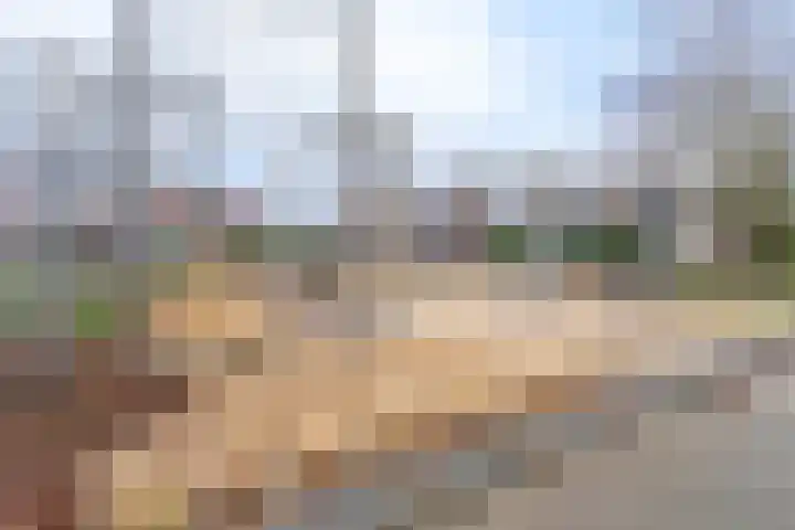Middenerf 2 Breda thumbnail 24