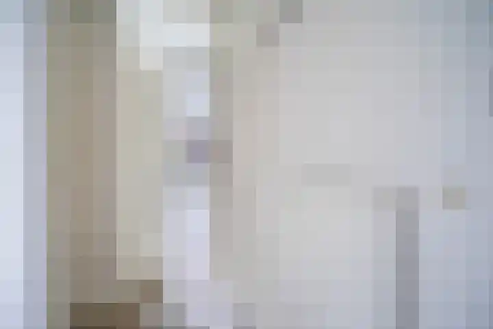 Middenerf 2 Breda thumbnail 4