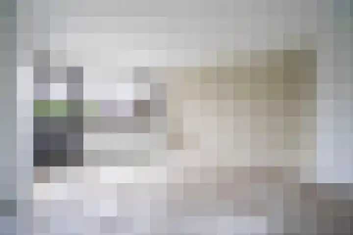 Middenerf 2 Breda thumbnail 7