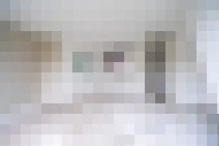 Middenerf 2 Breda thumbnail 8