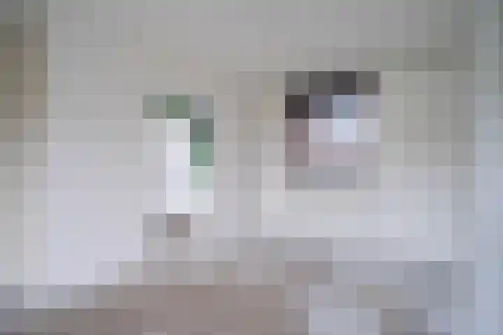 Middenerf 2 Breda thumbnail 9