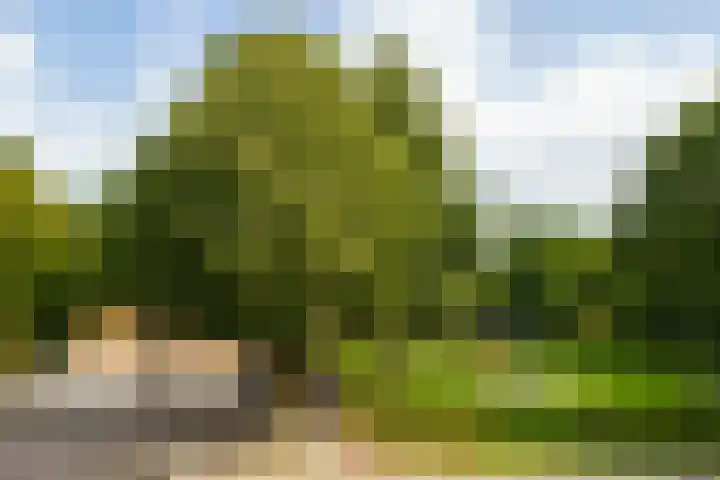 Middenhof 213 Almere thumbnail 21