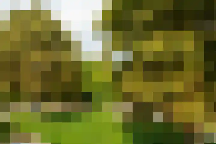 Middenhof 213 Almere thumbnail 22