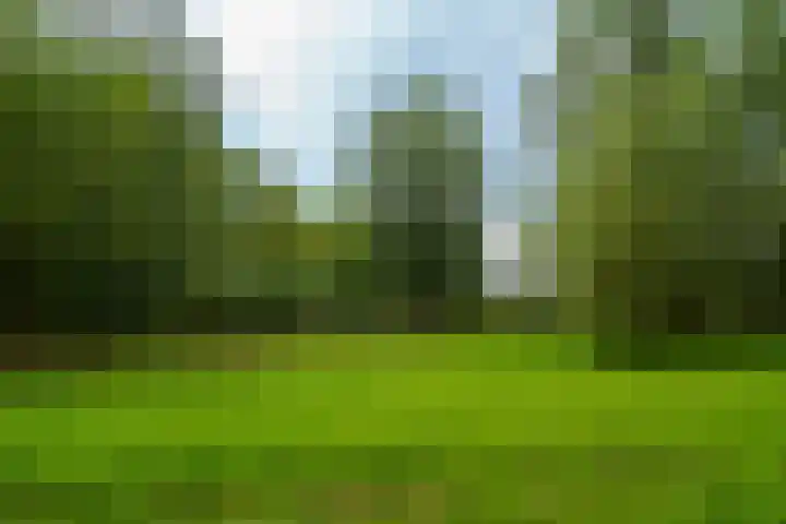 Middenhof 213 Almere thumbnail 29