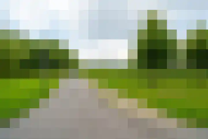 Middenhof 213 Almere thumbnail 31