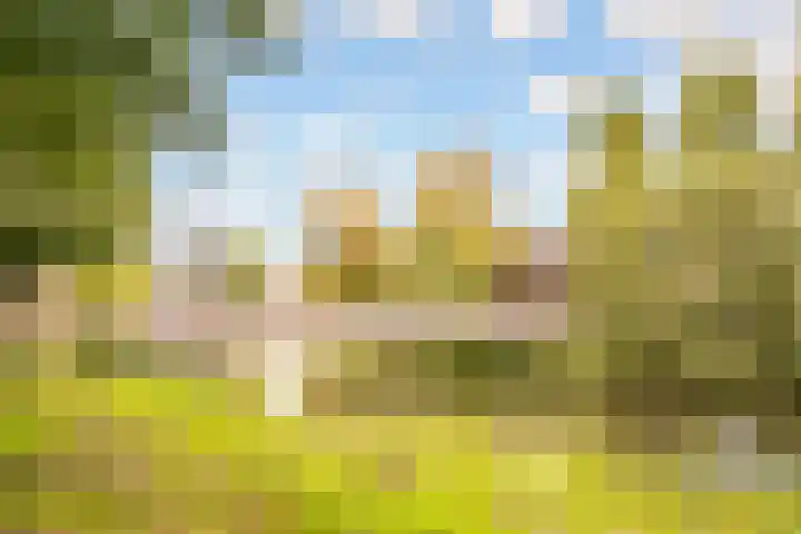 Middenhof 302 Almere thumbnail 42