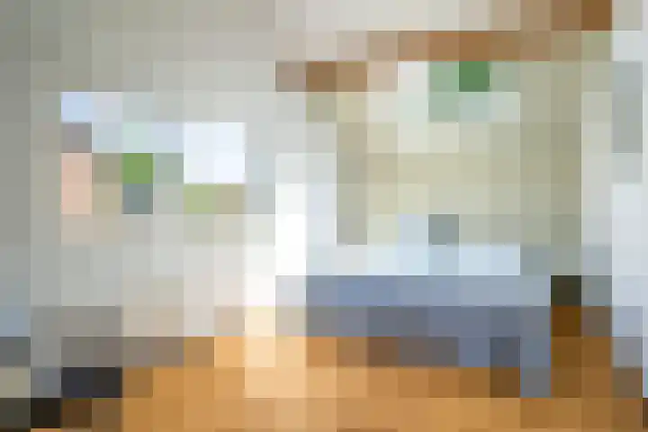 Middenlaan 27 Dwingeloo thumbnail 17