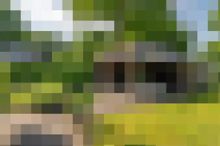 Middenlaan 27 Dwingeloo thumbnail 27